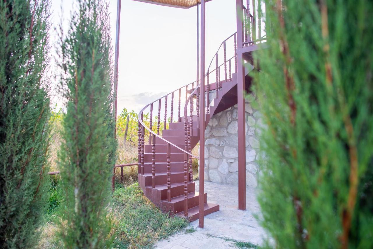 Chateau Tetri Bairagebi White Flags Kisiskhevi Exterior foto